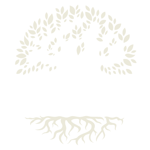 Renacer Mayor