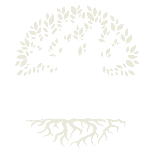 Renacer Mayor